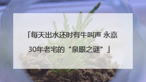 每天出水还时有牛叫声 永嘉30年老宅的“泉眼之谜”