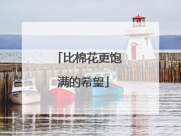 比棉花更饱满的希望