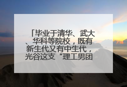 毕业于清华、武大、华科等院校，既有新生代又有中生代，光谷这支“理工男团”为何“出道”？