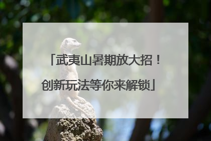 武夷山暑期放大招！创新玩法等你来解锁