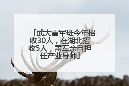武大雷军班今年招收30人，在湖北招收5人，雷军亲自担任产业导师