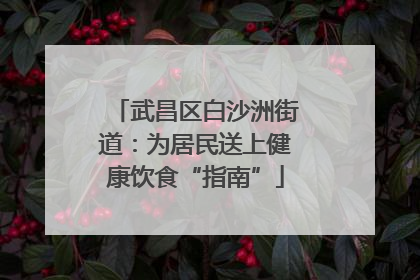 武昌区白沙洲街道：为居民送上健康饮食“指南”