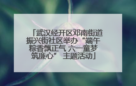 武汉经开区邓南街道振兴街社区举办“端午粽香飘正气 六一童梦筑廉心” 主题活动