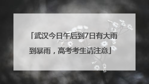 武汉今日午后到7日有大雨到暴雨，高考考生请注意