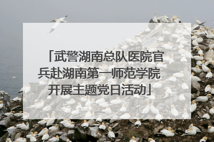 武警湖南总队医院官兵赴湖南第一师范学院开展主题党日活动