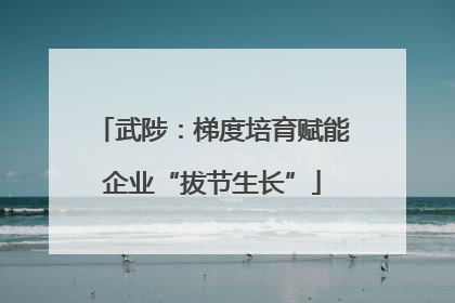 武陟：梯度培育赋能企业“拔节生长”