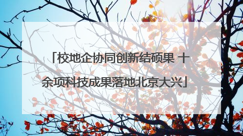 校地企协同创新结硕果 十余项科技成果落地北京大兴