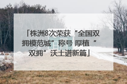 株洲8次荣获“全国双拥模范城”称号 厚植“双拥”沃土谱新篇
