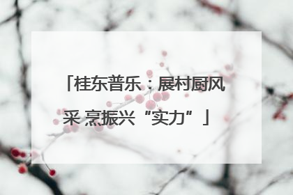桂东普乐：展村厨风采 烹振兴“实力”