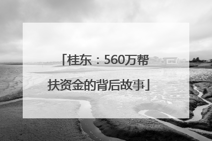 桂东：560万帮扶资金的背后故事