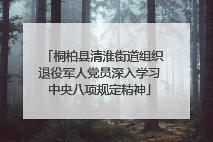 桐柏县清淮街道组织退役军人党员深入学习中央八项规定精神