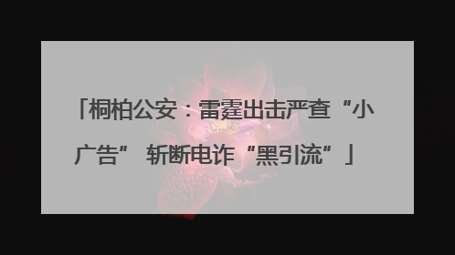 桐柏公安：雷霆出击严查“小广告” 斩断电诈“黑引流”
