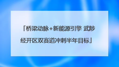 桥梁动脉+新能源引擎 武陟经开区双赛道冲刺半年目标