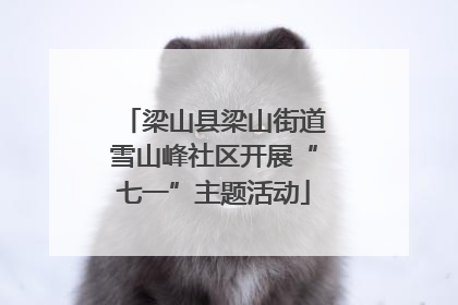 梁山县梁山街道雪山峰社区开展“七一”主题活动