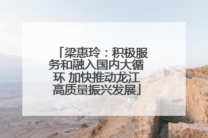 梁惠玲：积极服务和融入国内大循环 加快推动龙江高质量振兴发展