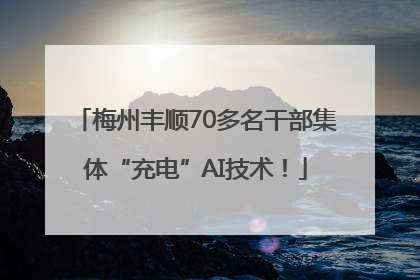 梅州丰顺70多名干部集体“充电”AI技术！