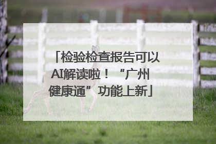 检验检查报告可以AI解读啦！“广州健康通”功能上新