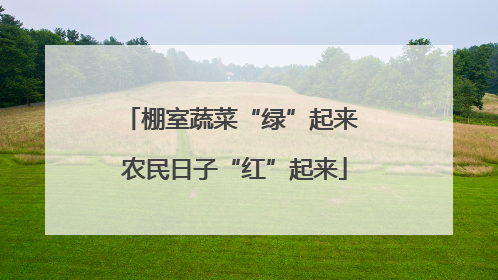 棚室蔬菜“绿”起来 农民日子“红”起来
