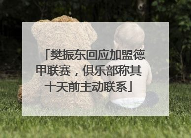 樊振东回应加盟德甲联赛，俱乐部称其十天前主动联系