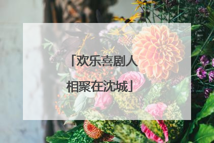 欢乐喜剧人 相聚在沈城