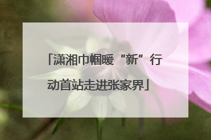 潇湘巾帼暖“新”行动首站走进张家界