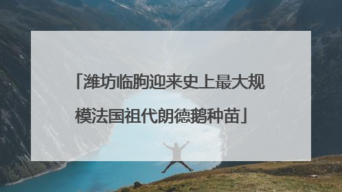 潍坊临朐迎来史上最大规模法国祖代朗德鹅种苗