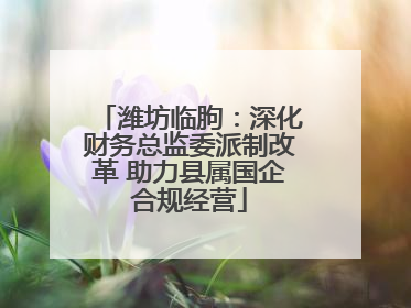 潍坊临朐：深化财务总监委派制改革 助力县属国企合规经营