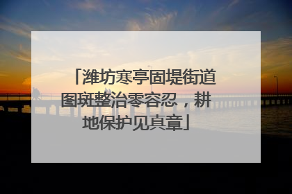 潍坊寒亭固堤街道图斑整治零容忍，耕地保护见真章