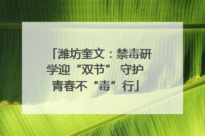 潍坊奎文：禁毒研学迎“双节” 守护青春不“毒”行