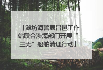 潍坊海警局昌邑工作站联合涉海部门开展“三无”船舶清理行动