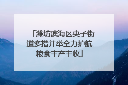 潍坊滨海区央子街道多措并举全力护航粮食丰产丰收