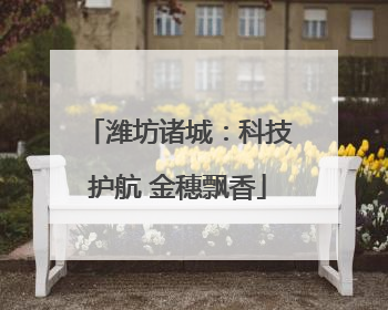 潍坊诸城：科技护航 金穗飘香