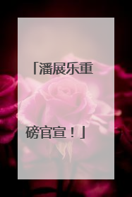 潘展乐重磅官宣！