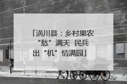 潢川县：乡村果农“愁”满天  民兵出“机”情满园