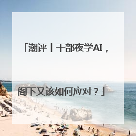 潮评丨干部夜学AI，阁下又该如何应对？