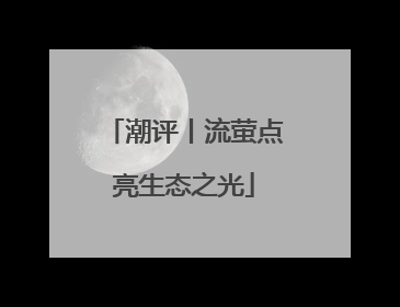 潮评丨流萤点亮生态之光
