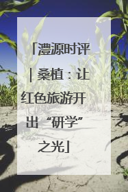 澧源时评｜桑植：让红色旅游开出“研学”之光