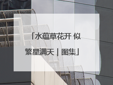 水蕴草花开 似繁星满天｜图集