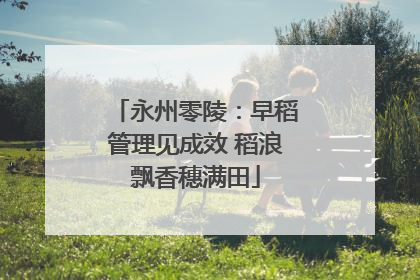 永州零陵：早稻管理见成效 稻浪飘香穗满田
