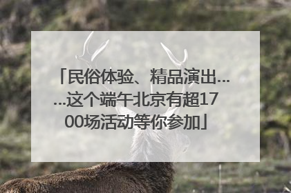 民俗体验、精品演出……这个端午北京有超1700场活动等你参加