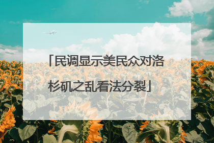 民调显示美民众对洛杉矶之乱看法分裂