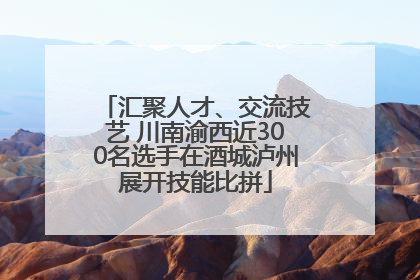 汇聚人才、交流技艺 川南渝西近300名选手在酒城泸州展开技能比拼