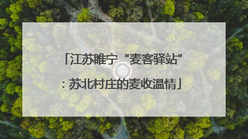 江苏睢宁“麦客驿站”：苏北村庄的麦收温情