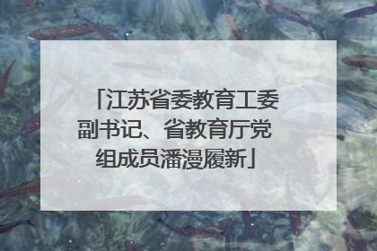 江苏省委教育工委副书记、省教育厅党组成员潘漫履新