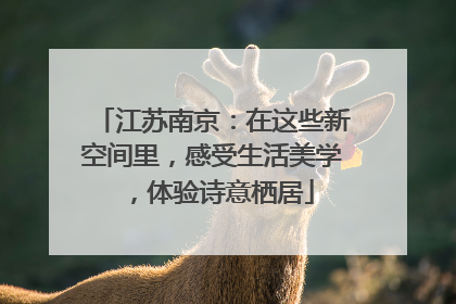 江苏南京：在这些新空间里，感受生活美学，体验诗意栖居