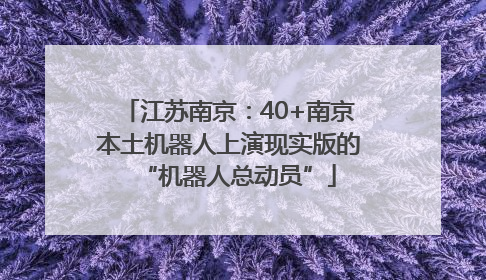 江苏南京：40+南京本土机器人上演现实版的“机器人总动员”