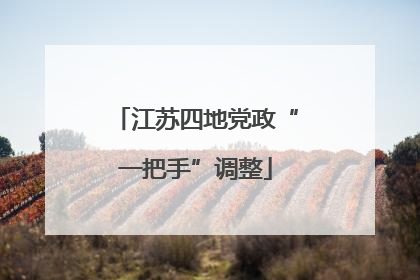 江苏四地党政“一把手”调整