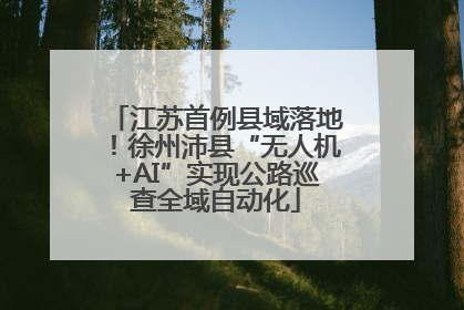 江苏首例县域落地！徐州沛县“无人机+AI”实现公路巡查全域自动化