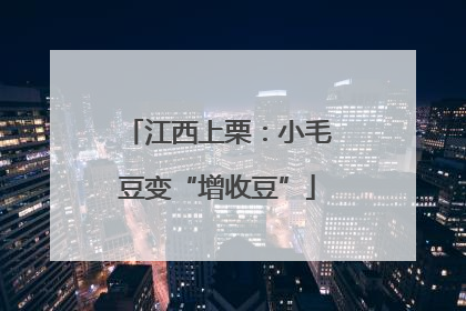 江西上栗：小毛豆变“增收豆”