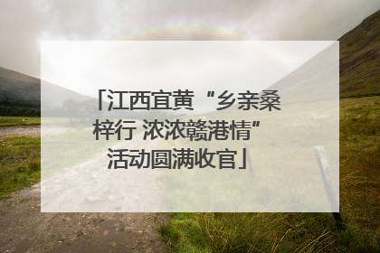 江西宜黄“乡亲桑梓行 浓浓赣港情”活动圆满收官